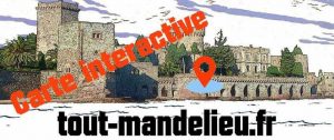 carte interactive des commerces de Mandelieu-La Napoule